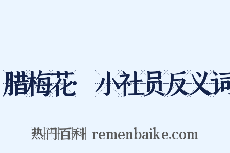 腊梅花·小社员反义词是什么意思的图片